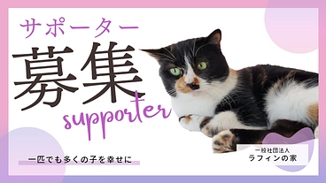 一匹でも多くの命を幸せにしたい｜ラフィンの家サポーター募集中 のトップ画像