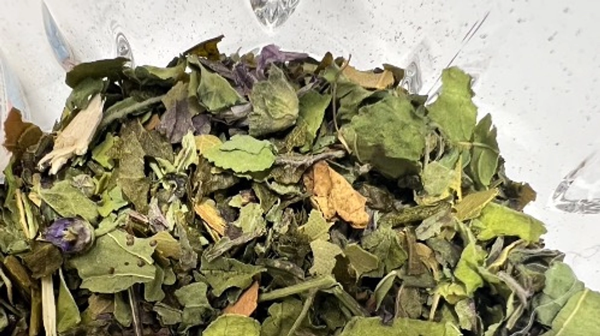 【BIOFACH 2日目！】新商品開発の商談！　有機丹波茶の魅力を発信中✨