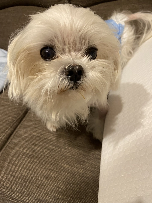 お願いします！🙏🏻❤️