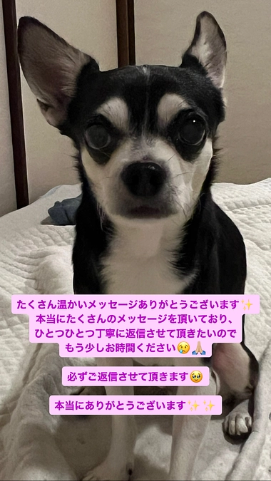 残り2日‼︎引き続き応援よろしくお願いします。