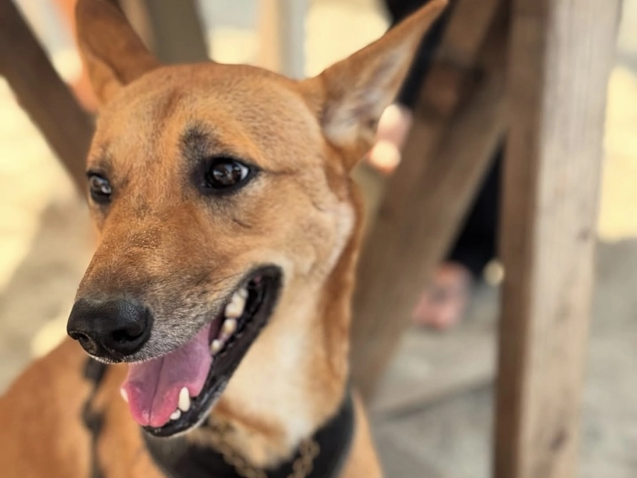 神奈川県議会議員 桝晴太郎様からの応援メッセージ