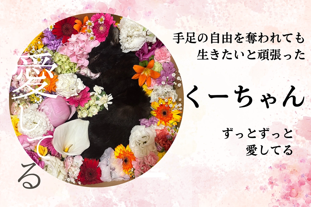 くーちゃんと過ごした時間