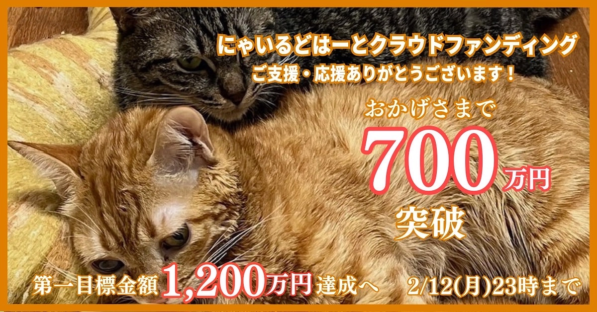 飼い主死亡で残った猫のレスキューは続く、、、