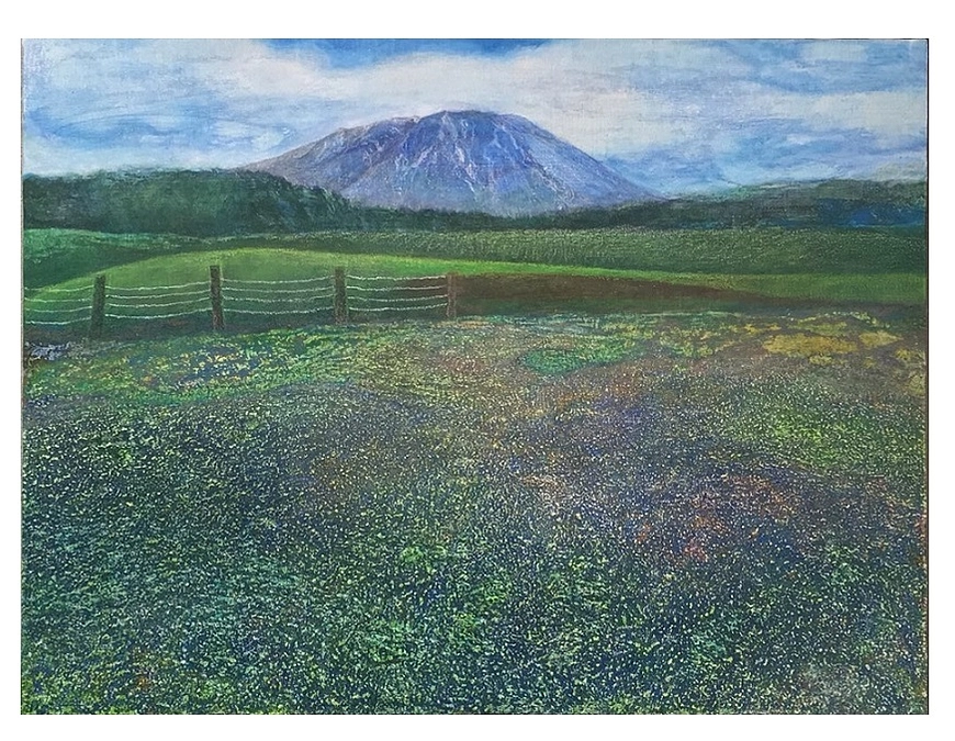 プロジェクトの進捗報告を郵送で行う予定でおります