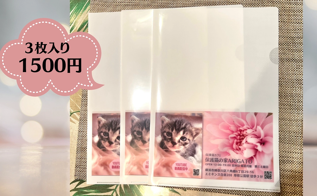 1500円　保護猫の家オリジナル：A4クリアファイル ３枚入り