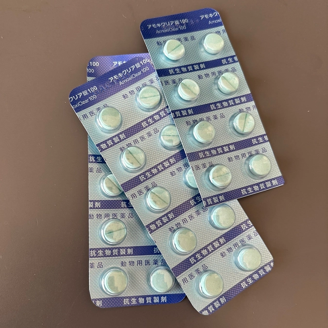 症状が少し悪くなりまた病院へ