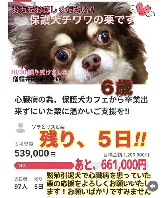 2024/1/23　クラウドファンディング残り５日　達成率４７％　となります。