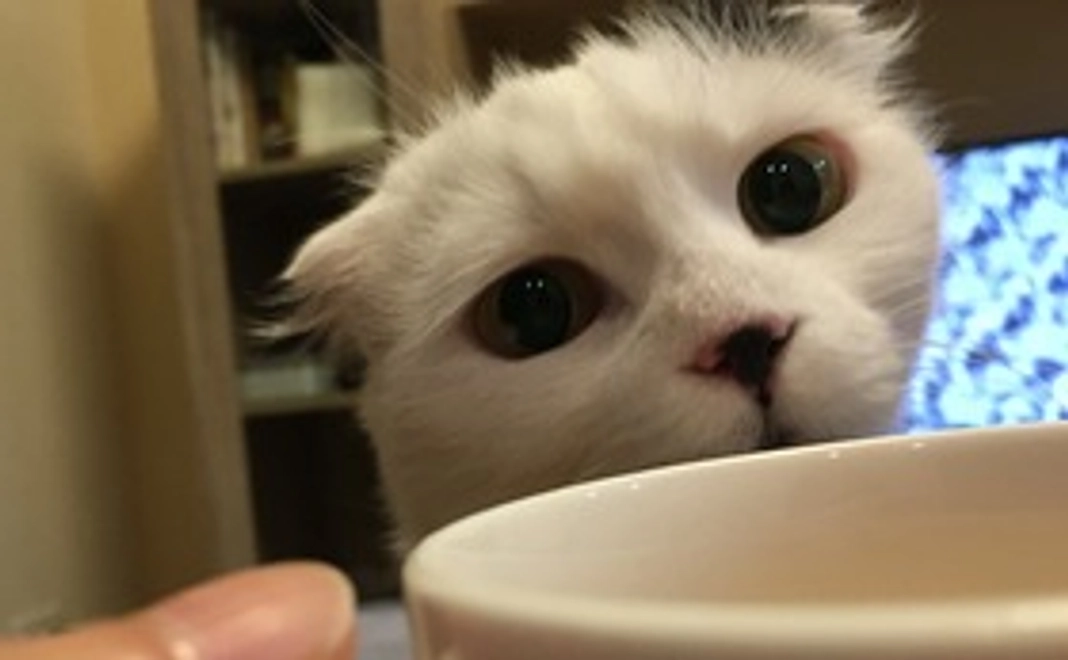 現状のお知らせ&お礼メール