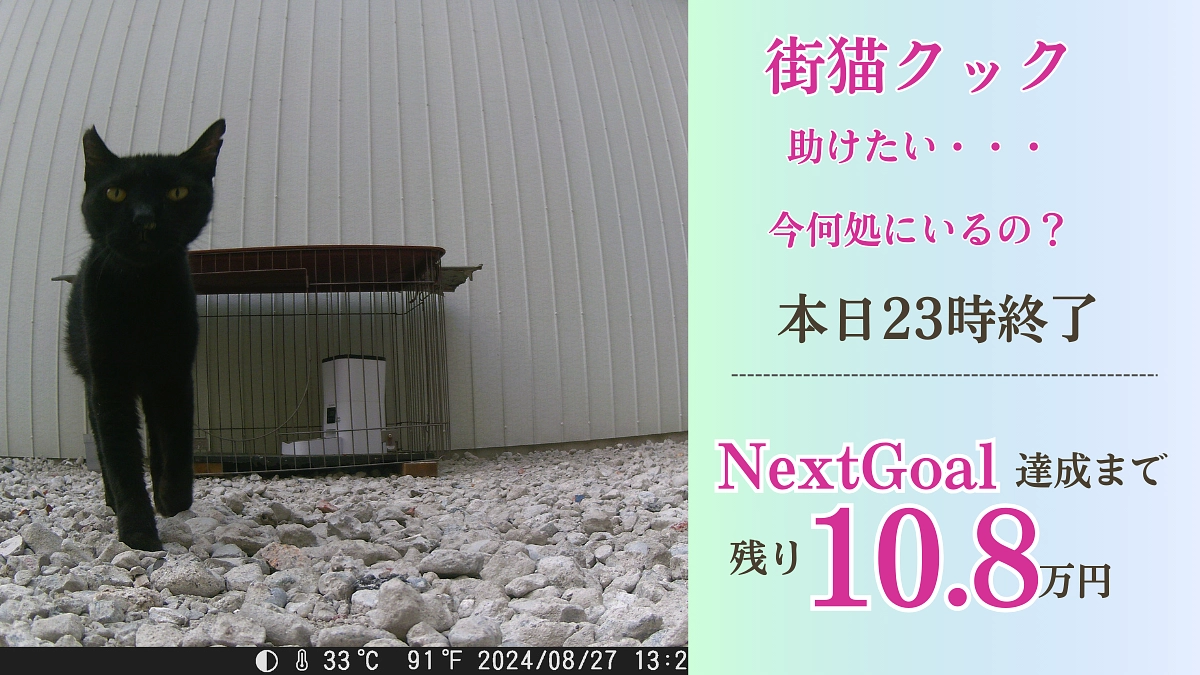 それでも保護するべきだったの？それは私のエゴ？何が正解かわからない。【本日最終日】