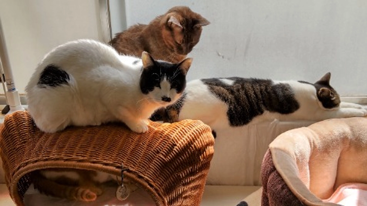 2023年3月・4月分医療費等～活動報告～