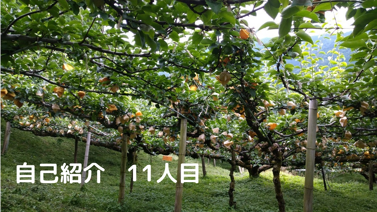 私たちについてもっと知ってほしい！自己紹介⑪