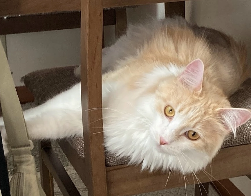 10/29ルイの様子