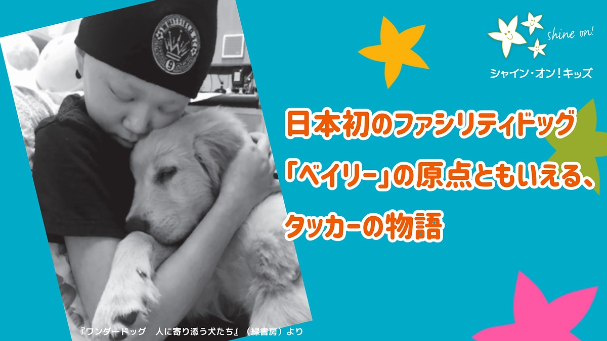 日本初のファシリティドッグ「ベイリー」の原点ともいえる、タッカーの物語