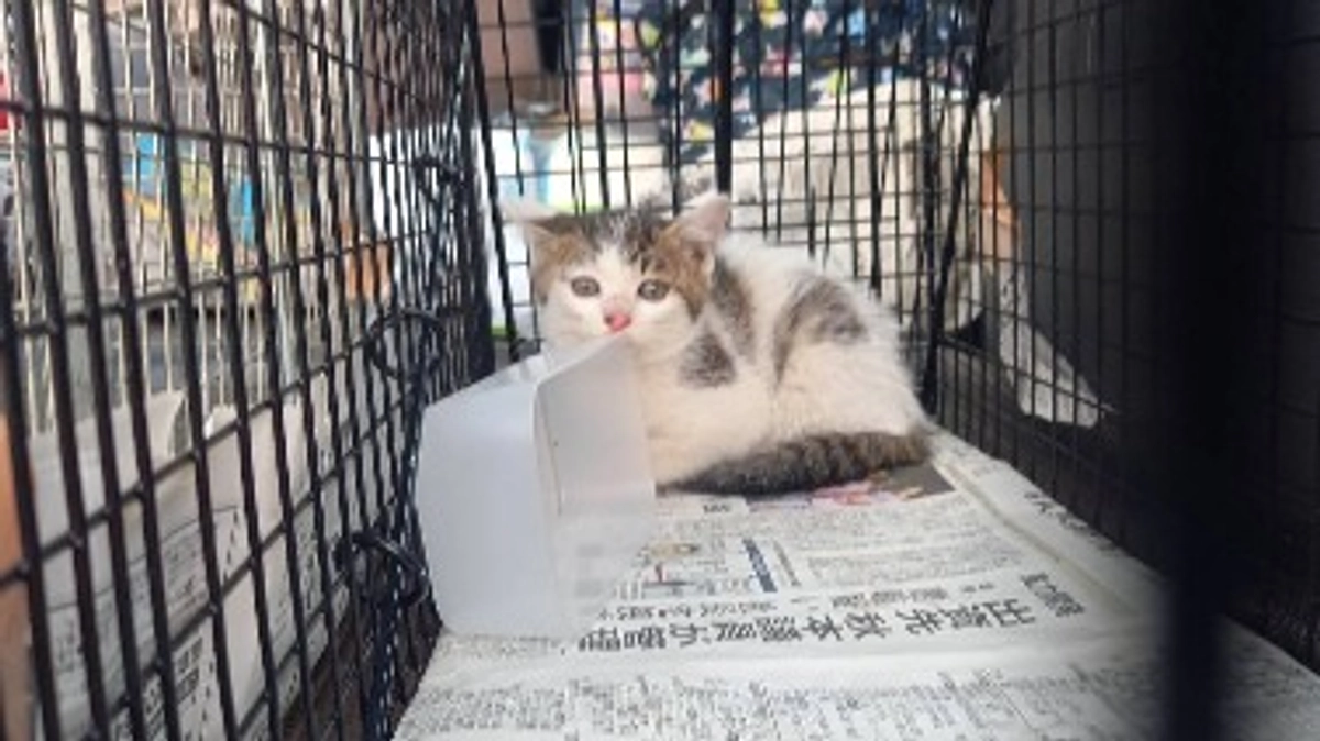 自分にできることは…