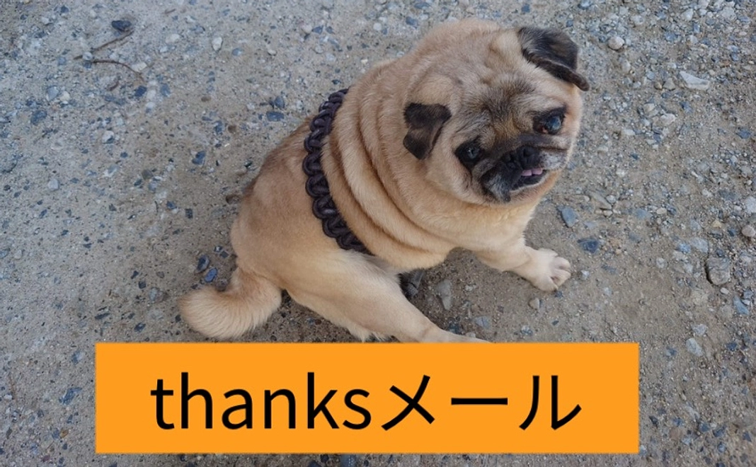 応援コース|3,000円