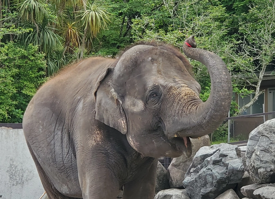 SNSハッシュタグ企画開催！皆さまの想いと共に、どうか拡散のご協力をよろしくお願いします！