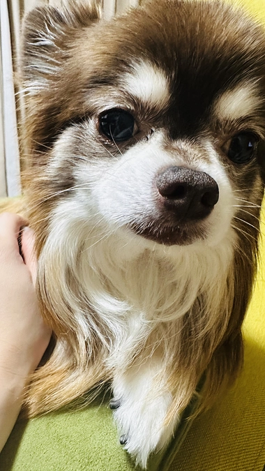 今日はご機嫌で少しお腹の調子も良くなりました😊