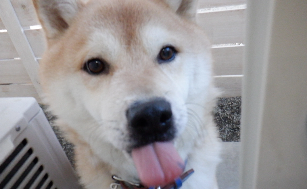 最低限、身を守るワクチンを君に!!