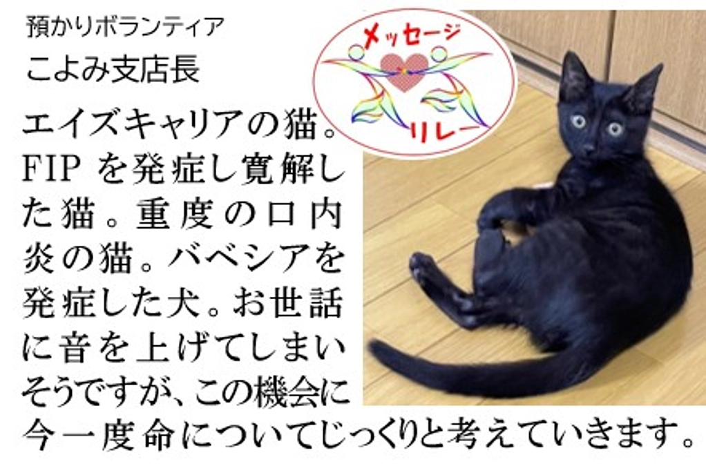 リレー１６．お世話に休みの無い毎日。音をあげてしまいそうですが・・・