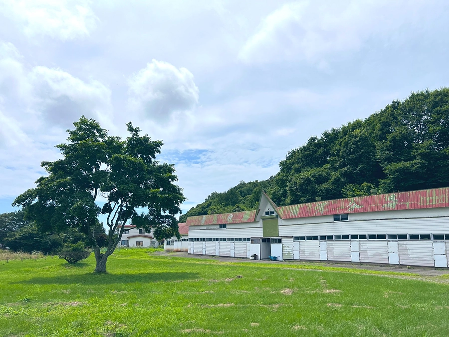 はじめまして。