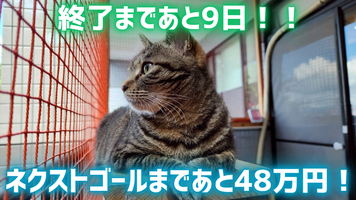 🔥あと9日、ネクストゴールまであと48万円！！🔥
