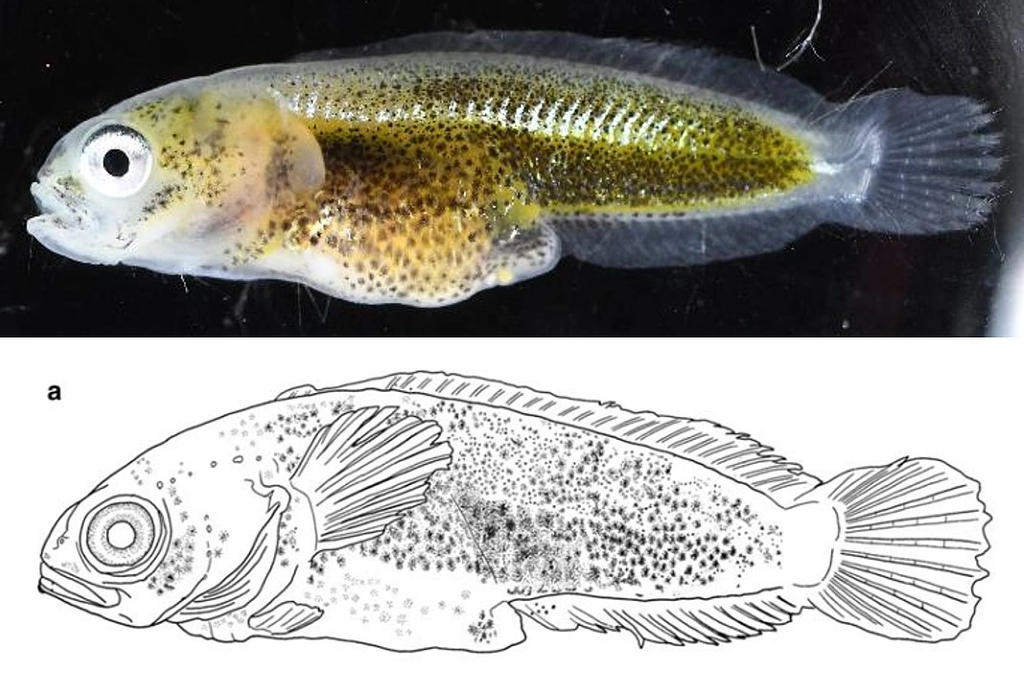 2024年 1月21日「再会」
