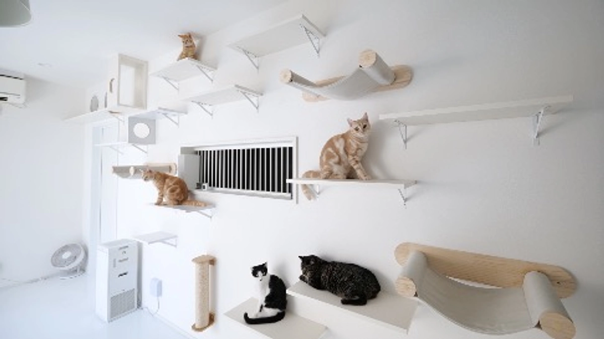 大工さんへ、感謝を込めて