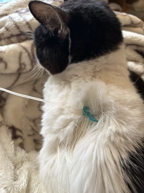 初めての皮下点滴