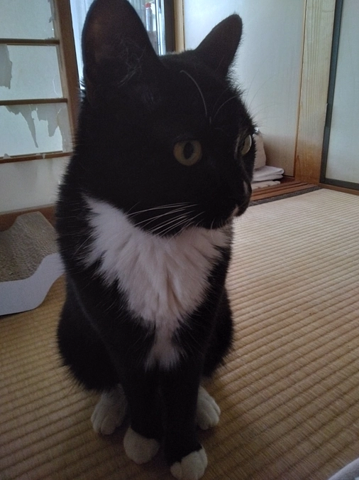 5/30はなちゃんの様子