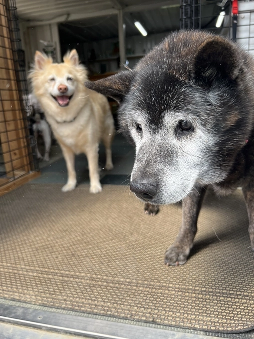 いよいよ終了迄18日となりました💦是非是非応援ご支援お願い申し上げます。