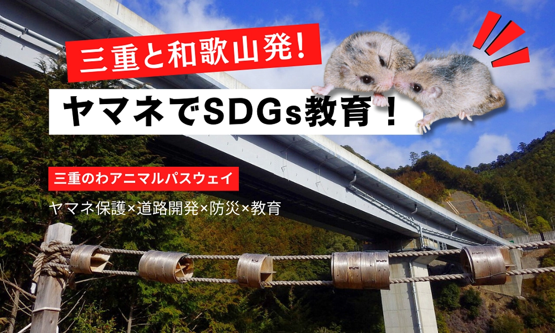 🗾三重と和歌山発！📚ヤマネで広げるSDGs教育プログラム