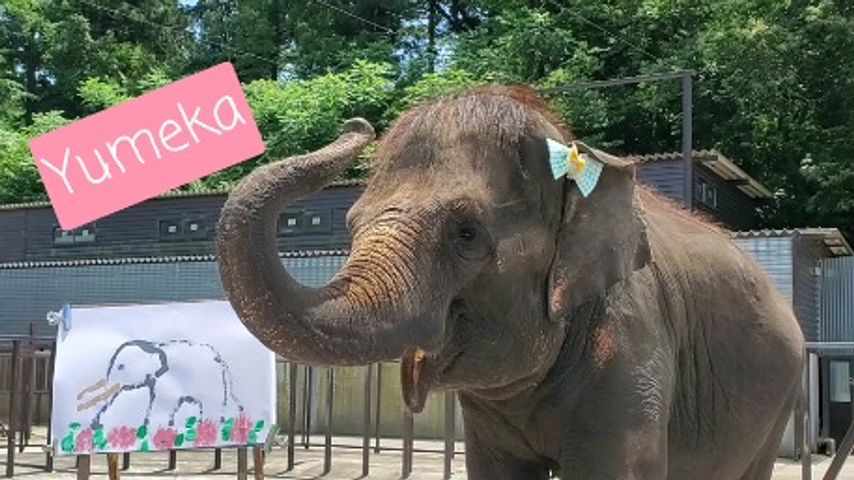 ゆめ花＆りり香が描いた「結希お誕生日記念作品」