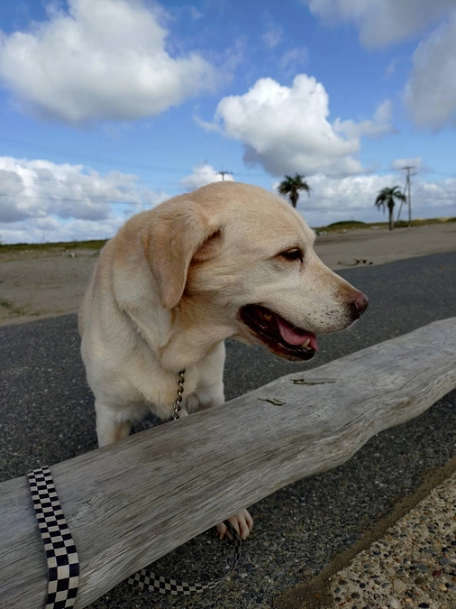 🌸今月もたくさんの出会いと感謝を込めて🌸