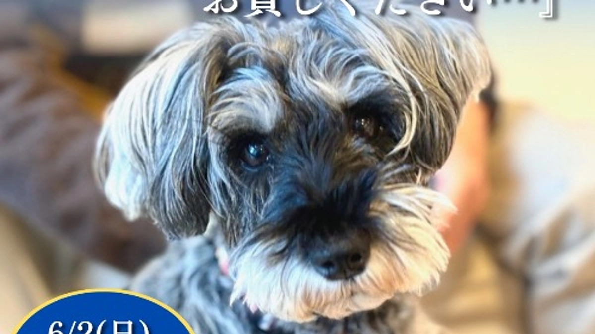 終了まで残り7日になりました。