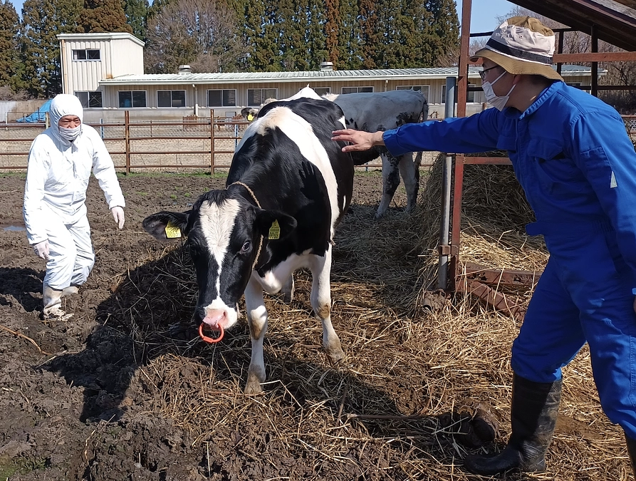 プロジェクト終了まで残り【7日】！