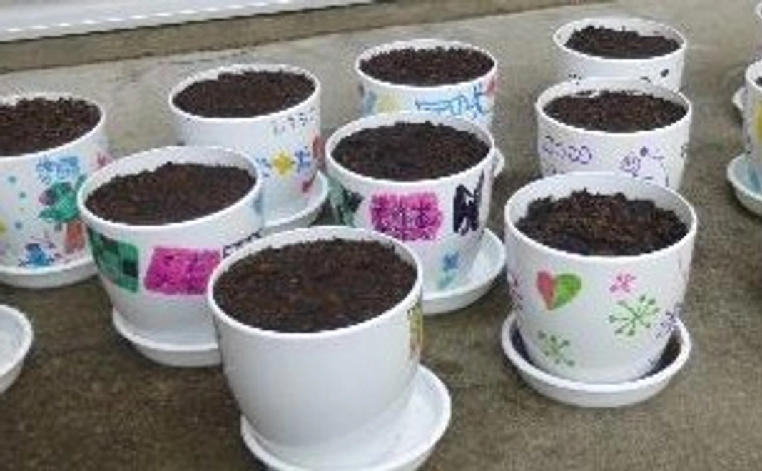 「万葉の土」お試しセット  「オリジナル植木鉢」をお届けします