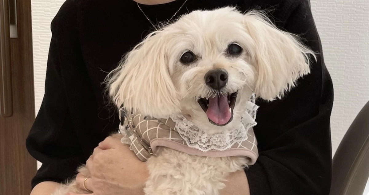 週に一度の通院Day