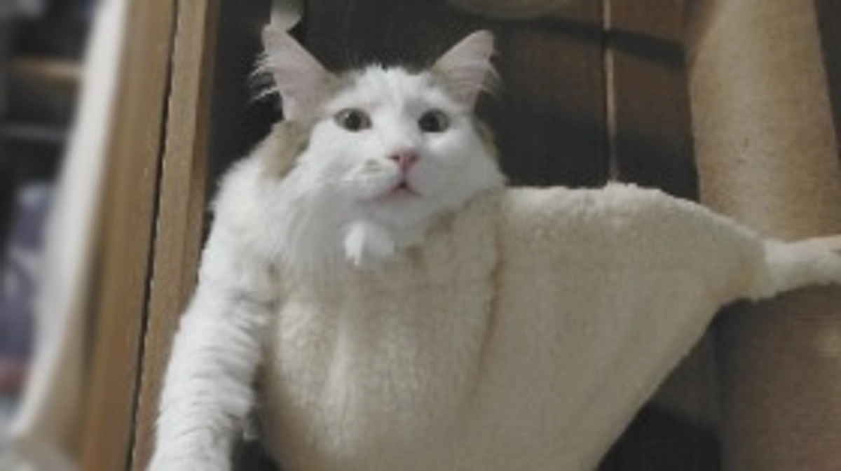 🎊とても嬉しいご報告です🎉