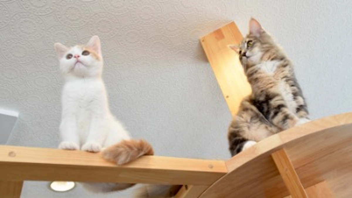 目標達成の御礼