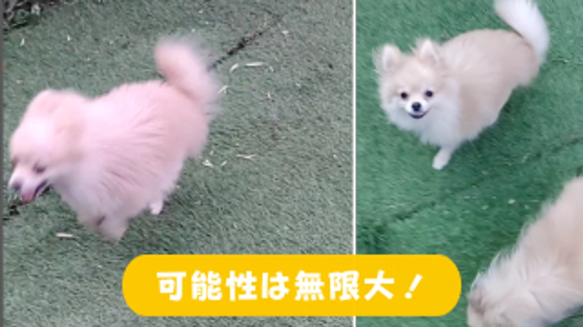 【ラストスパート突入！】私に「まだまだ可能性は無限大」と教えてくれる子たち