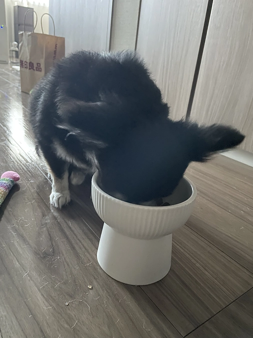 まめの可愛いところ③