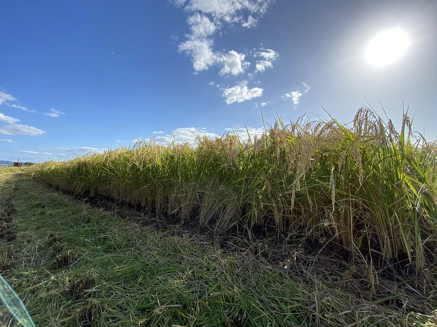 一昨日インスタライブ！ 昨日はFacebookライブをしました ‼