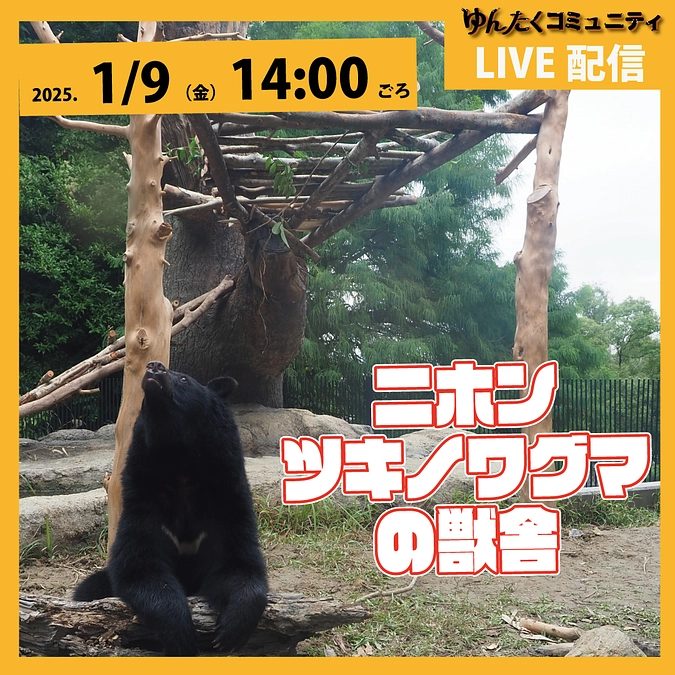 ゆんたくコミュニティ限定ライブ配信「ニホンツキノワグマの獣舎」