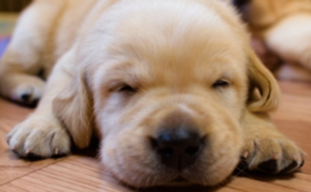 【お気持ちコース】3千円