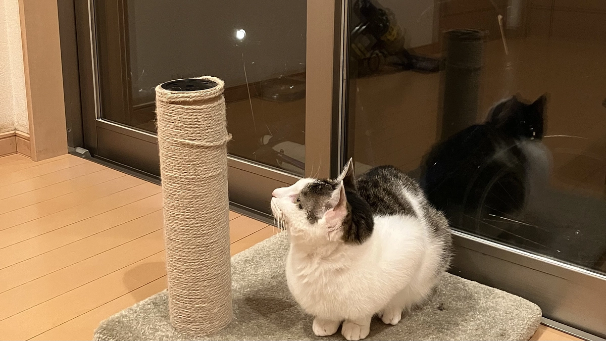 【ネクストゴールが反映されました】