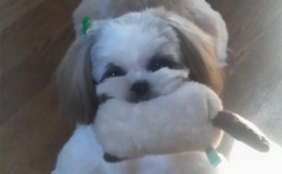 感謝のメール①ありがとうございます