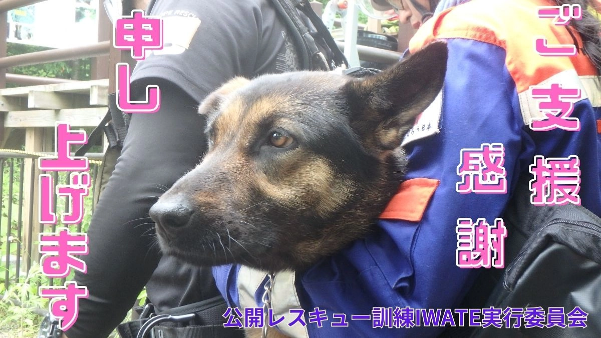 災害遺構の上で思うこと