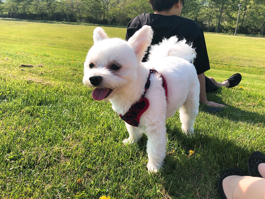 そるとの様態・プロジェクト内容の更新