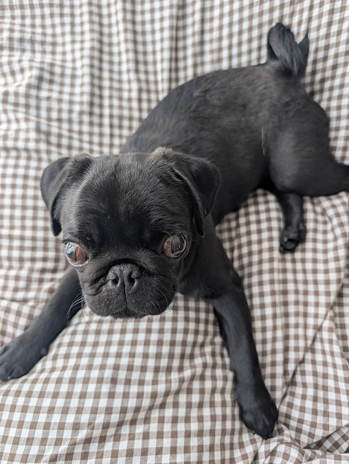 やっと公開できました