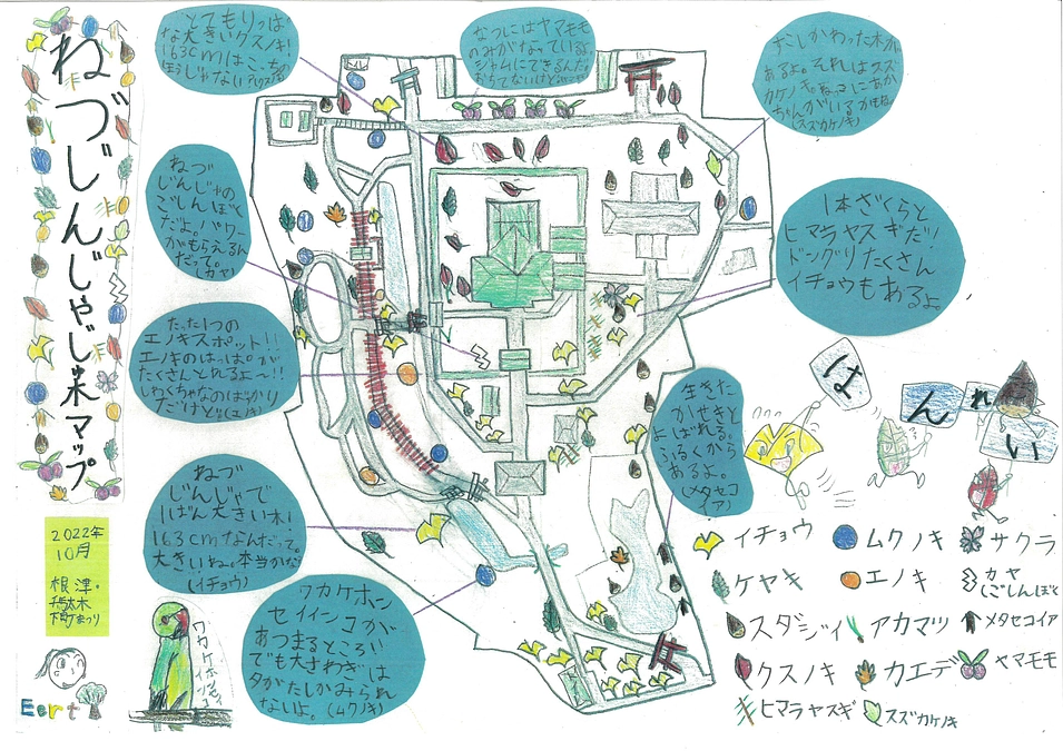 うれしいご縁、樹木マップをいただきました